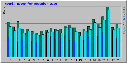 Hourly usage for November 2025