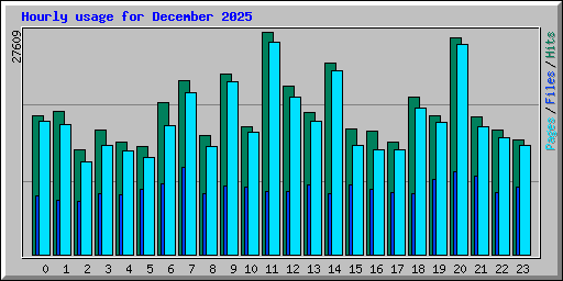 Hourly usage for December 2025