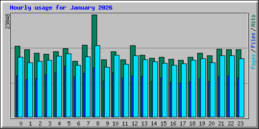 Hourly usage for January 2026