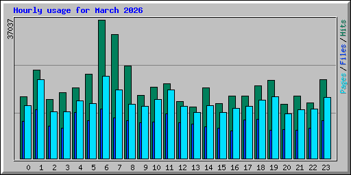 Hourly usage for March 2026