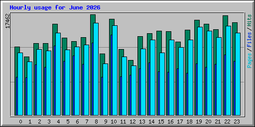 Hourly usage for June 2026