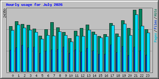 Hourly usage for July 2026