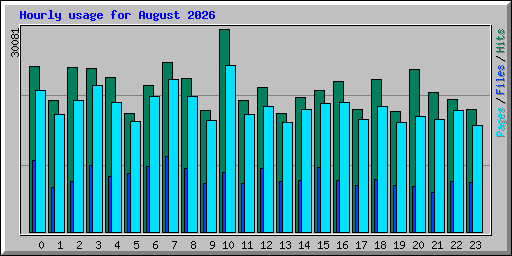 Hourly usage for August 2026