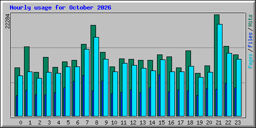 Hourly usage for October 2026